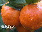 12b0fe82.jpg