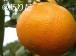 23a36e45.jpg