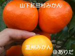 4104fbb1.jpg