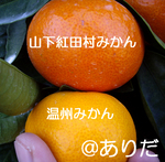 9d19f52a.jpg