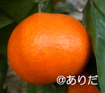 9e8db856.jpg