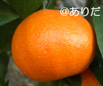 f43d7f15.jpg